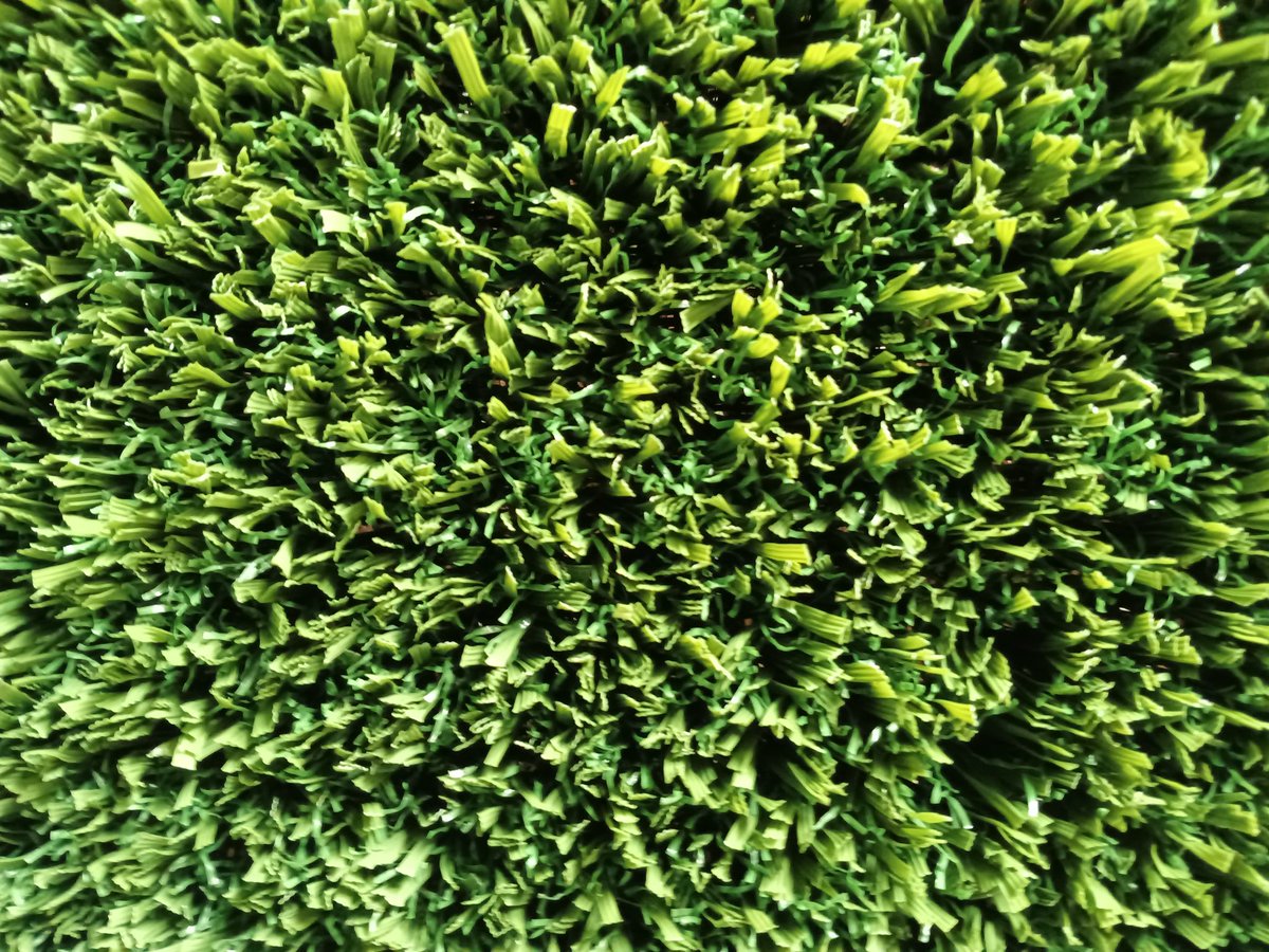 wegiturf's tweet image. 