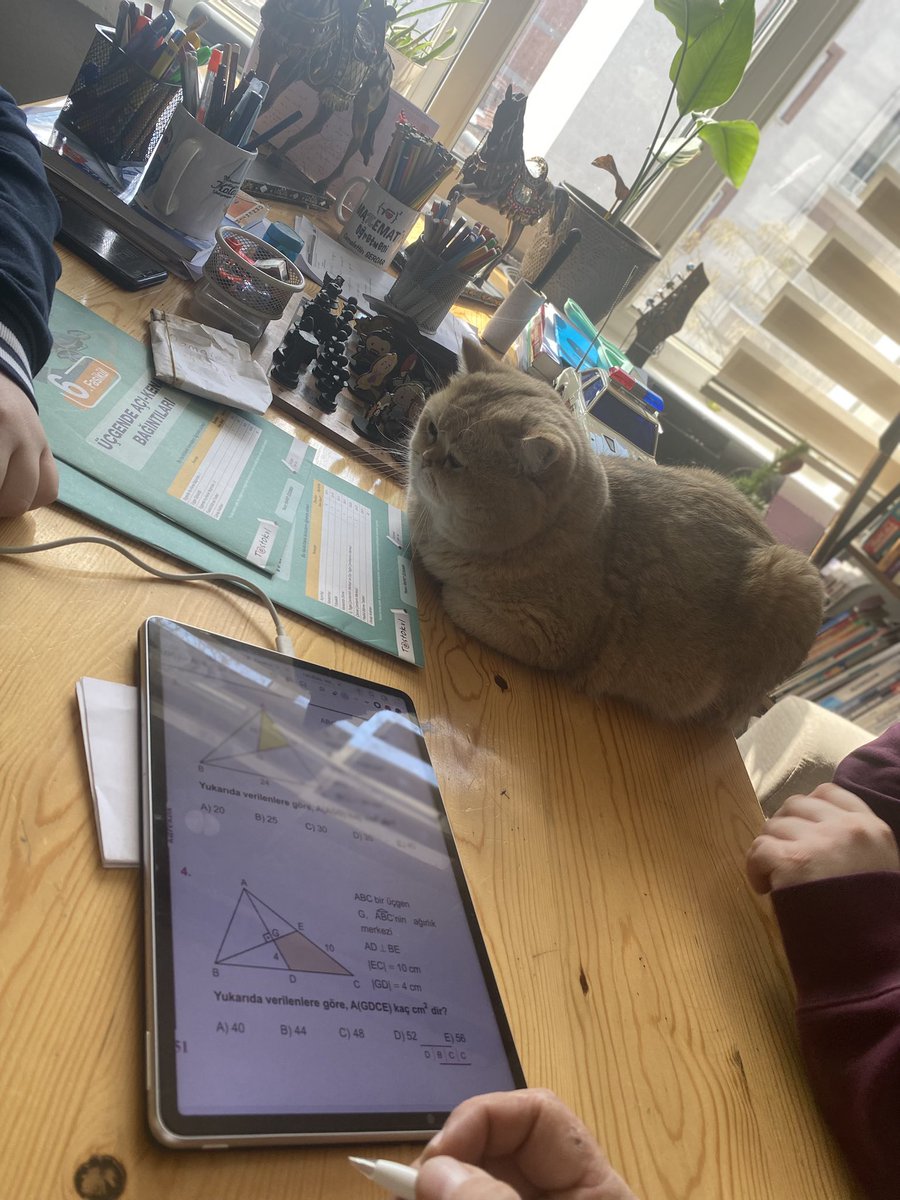 cemalettin serdar (@cemalettinserda) on Twitter photo 