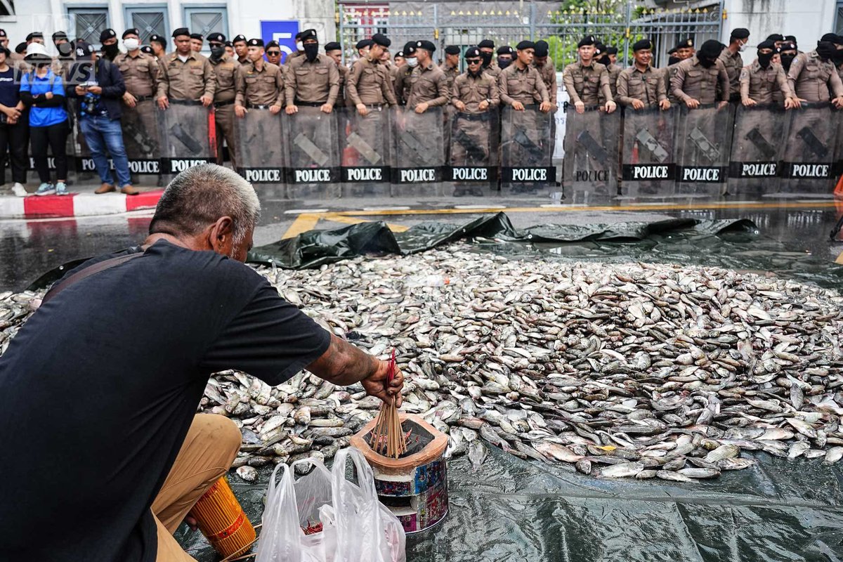 StTonkub's tweet image. 4 ภาพที่เกิดในเวลาเดียวกัน สถานที่เดียวกันเดียวกัน แทนความรู้สึกนับล้าน 🥹🥺 #ม็อบปลาหมอคางดำ