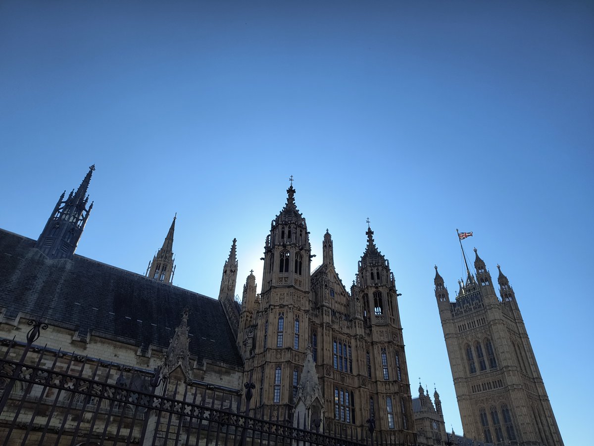 We're in Westminster for today's event, led by Baroness Brown of Cambridge - a panel discussion on EDI strategies in STEM.  Thank you to our chair Samantha Niblett MP and panellists! Highlights to come soon on the British Science Association blog.