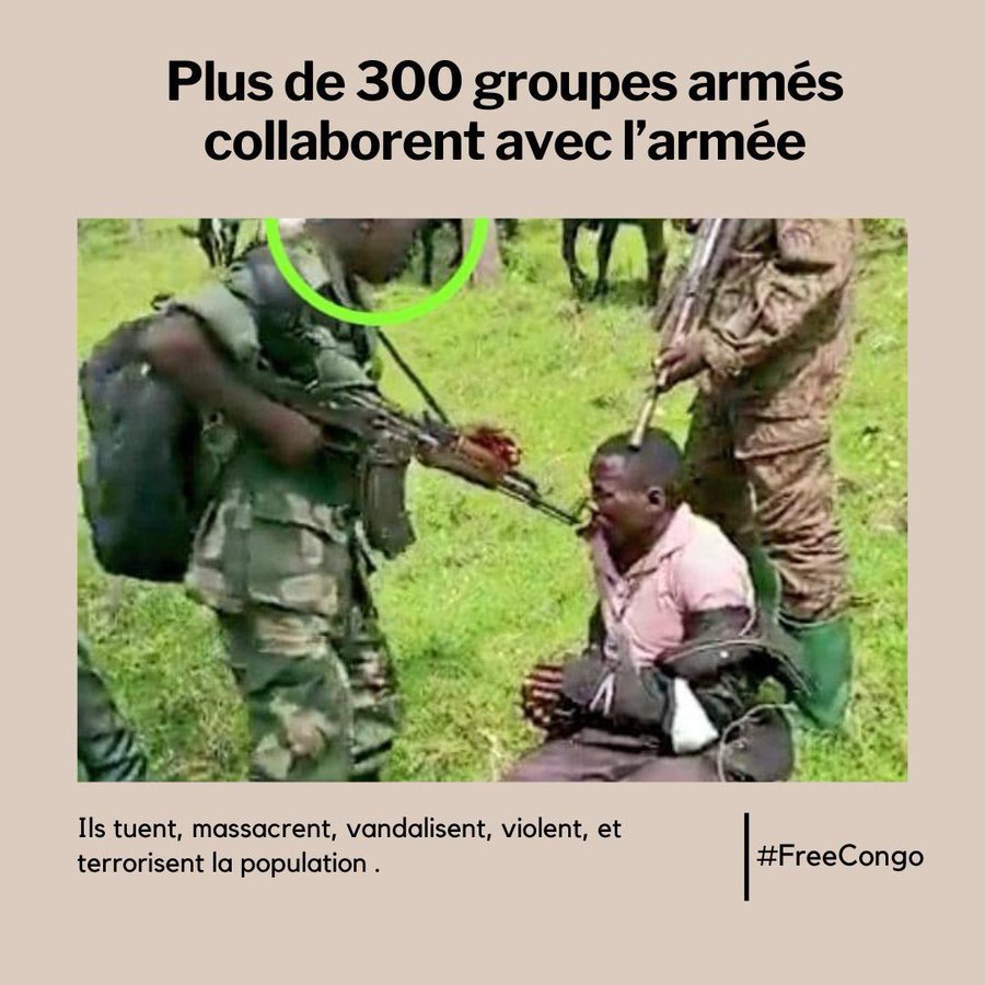 kamalifulgence's tweet photo. @benjamin_ekanga @Ebabsmart @IsralMutombo11 @_AfricanUnion @MONUSCO @Europarl_EN @afcongo @UN @SugiraMireille @RutayisireBoni1 @albcontact @bbcgahuza @RFIAfrique @France24_fr @dwnews Comment voulez-vous que vos réfugiés reviennent alors que vous mangez leur frères et soeurs (voir les photos), que vous ne reconnaissez pas qu'ils sont congolais comme vous et que votre gouvernement soutient et arme leurs boureaux càd les #FDLRs et #Wazalendos?
Voilà la réponse. https://t.co/KoEBd2H3v6