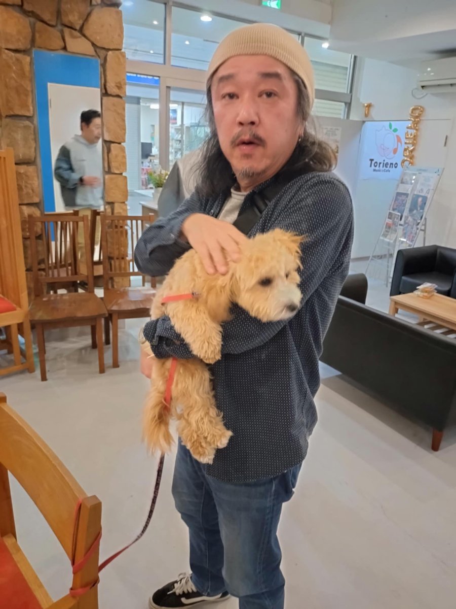 pena_daisaku's tweet photo. ホンマはめちゃくちゃな
猫好き💕なのに
やっぱり犬は犬で
可愛いよな😍

富山Torienoの愛犬
「らく君」🐶

#Torieno https://t.co/Ht8oef1Npz