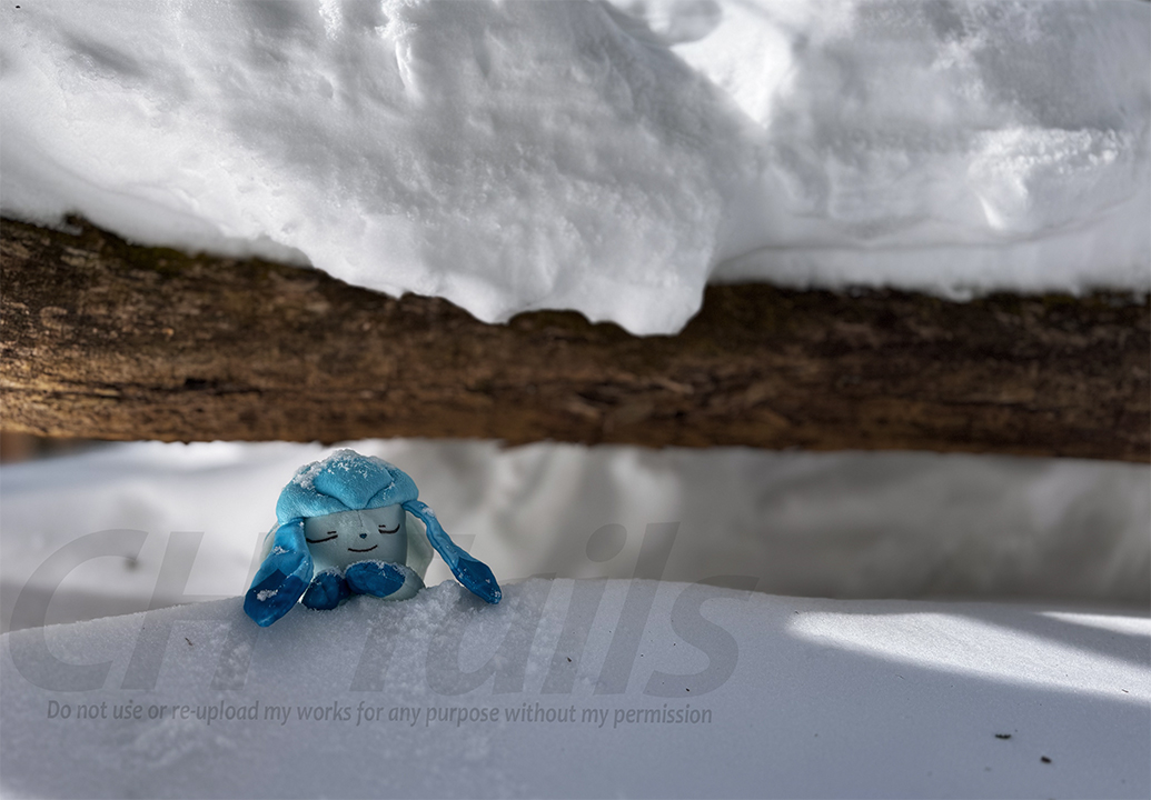 #成長してたらRT見た人もやる 
成長してんだか、してないんだか…

⬅️2022年11月　2025年3月➡️