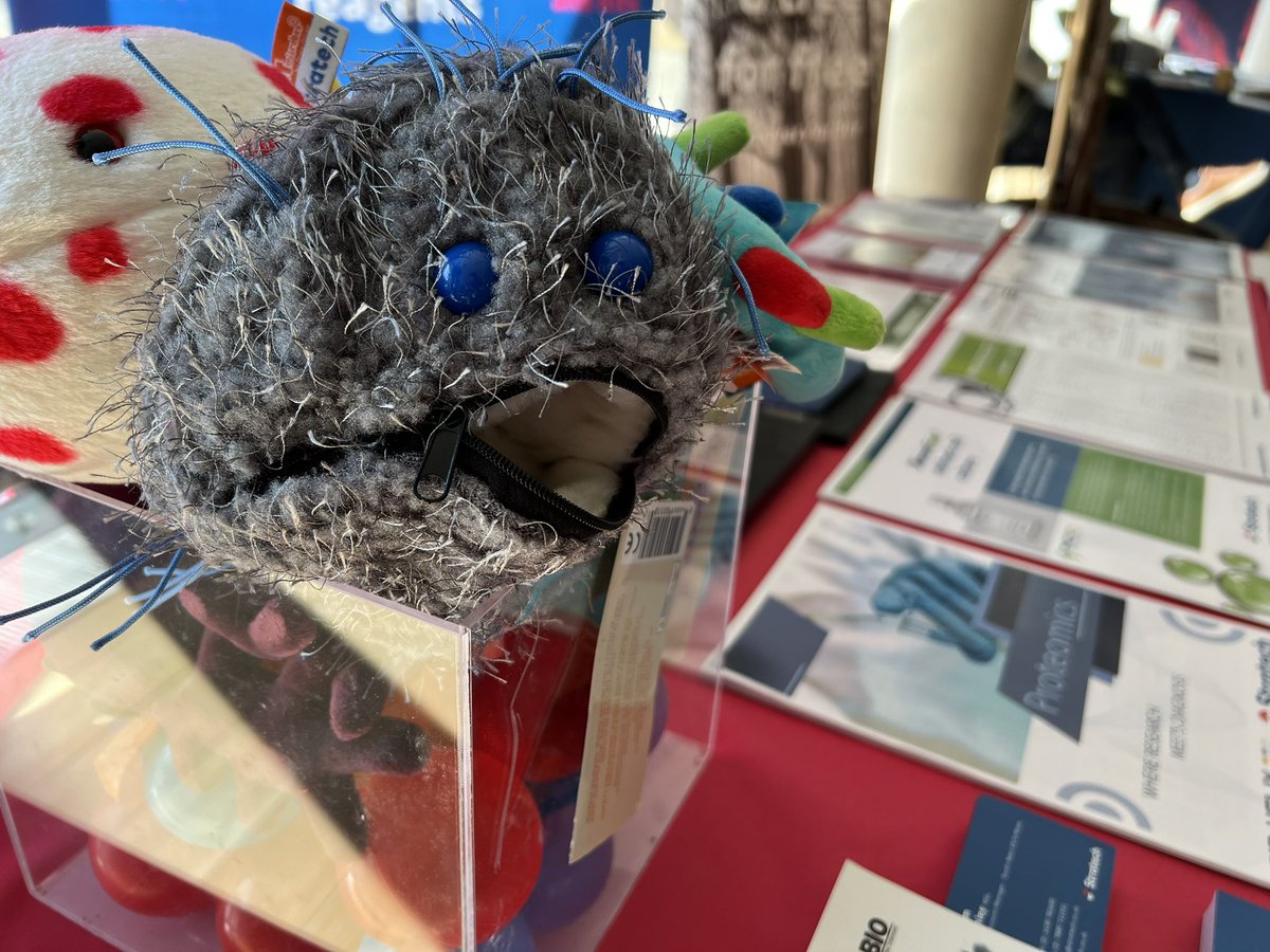 Adam Stratech tweet media