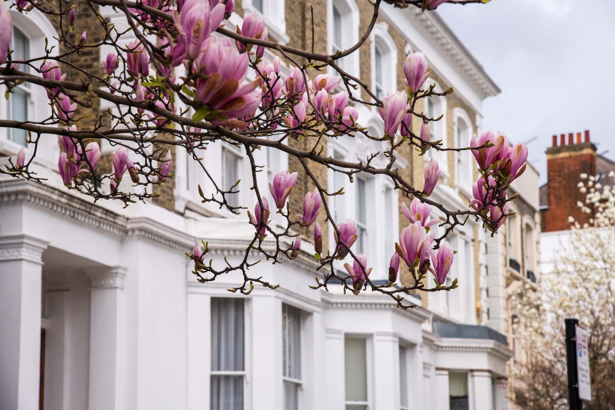 Properly_UK's tweet photo. If your property has been on the market without receiving any offers, this may sound familiar. Here are some common pitfalls that may be preventing potential buyers from making an offer on your home.

https://t.co/rhb1sSfR7t https://t.co/VSkF1Jxsin