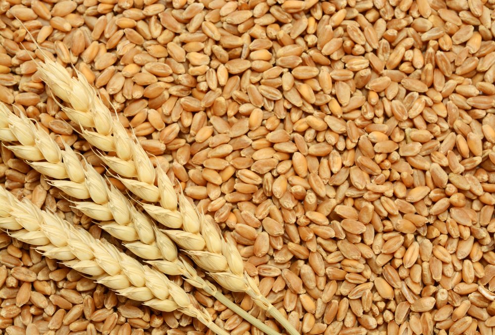 DzidzoApp's tweet photo. In Shona we call wheat  "Gorosi".
What do you call it in your language? https://t.co/vD2cyNeWe5