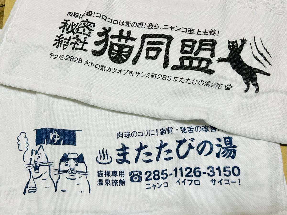 atagoneko's tweet photo. 今朝も熊本で地震ありましたね！備えて安心を！
かぎしっぽさま@kagishippoakita ありがとう😺
肉球は正義！ゴロゴロは愛の唄！ https://t.co/Dw0i4zEWld
