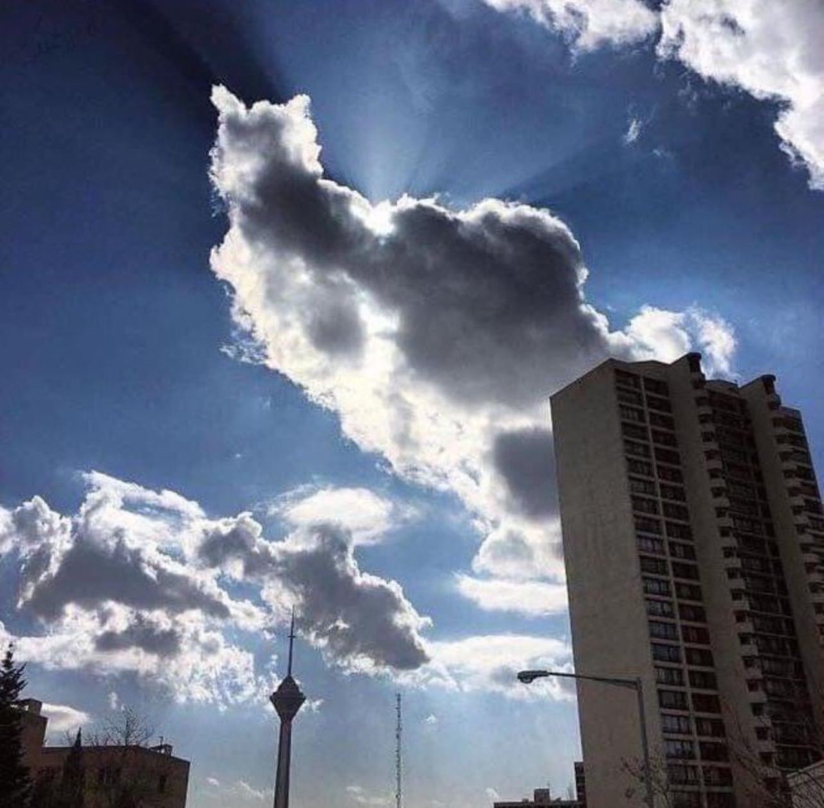 𝕊𝕒𝕞/سام tweet media