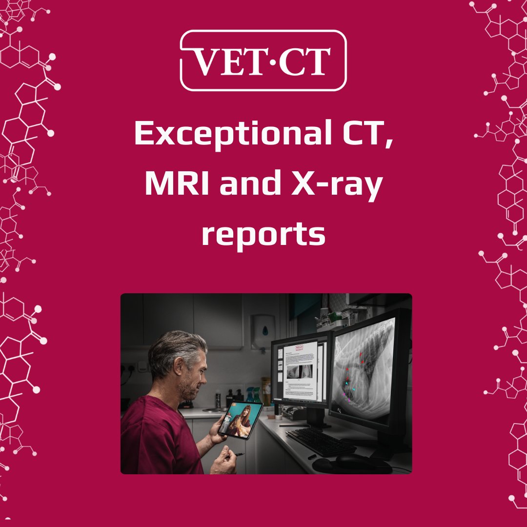 We're dedicated to supporting your team with accurate, reliable diagnostic reports from our board-certified radiologists. Give your patients efficient, effective care with our expert imaging reports.

Find out more about the VET.CT difference here: hubs.ly/Q039D_nK0