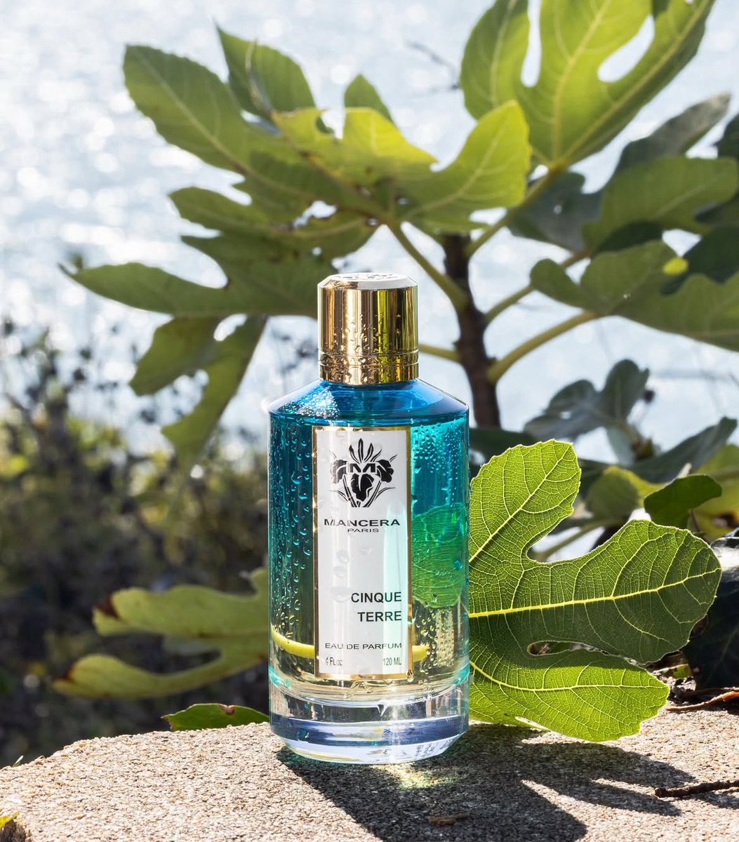 NEW PERFUME | عطر جديد
MANCERA | Cinque Terre

استمتع بسحر العطر، حيث تلتقي رائحة إكليل الجبل الإيطالي والليمون بدفء خشب الصندل والعنبر، لتأخذك في رحلة إلى سواحل البحر الأبيض المتوسط
احتضن روح البحر الأبيض المتوسط ودعها تأخذك إلى ساحل مشمس🌿🌞

#شركة_الأثر #مانسيرا #شكرا_قيادتنا