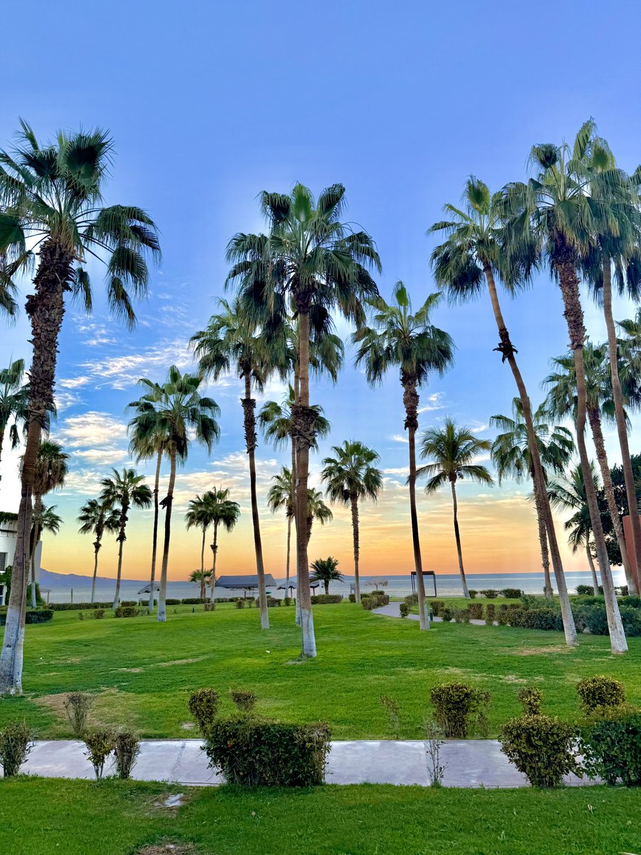 roreystush's tweet photo. Flying out of town for some peace of mind… ✈️ 🏝️ https://t.co/53MKRB3z9T