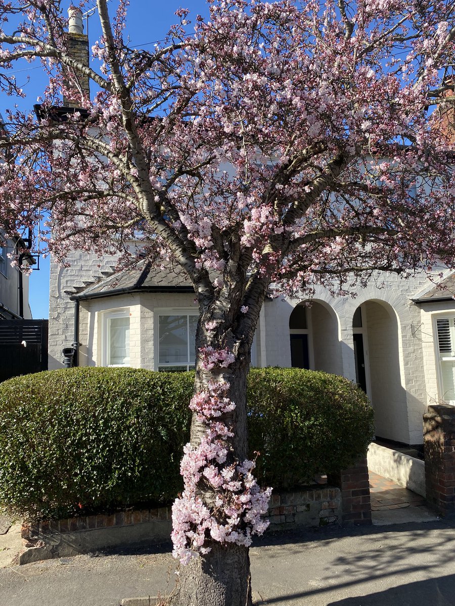 Ben Ponniah (@benponniah) on Twitter photo 