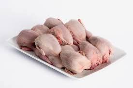 EkoFarmaSibnica's tweet photo. We breed Japanese quail in Serbia. We are engaged in the production of medicinal quail eggs and meat. We also produce quail chicks in a professional incubator.
Follow our X profile and give us support 😊
#quailfarm #quailegg #quailmeat #quailchicken #followme #Serbia https://t.co/ZzDNvJhCWi