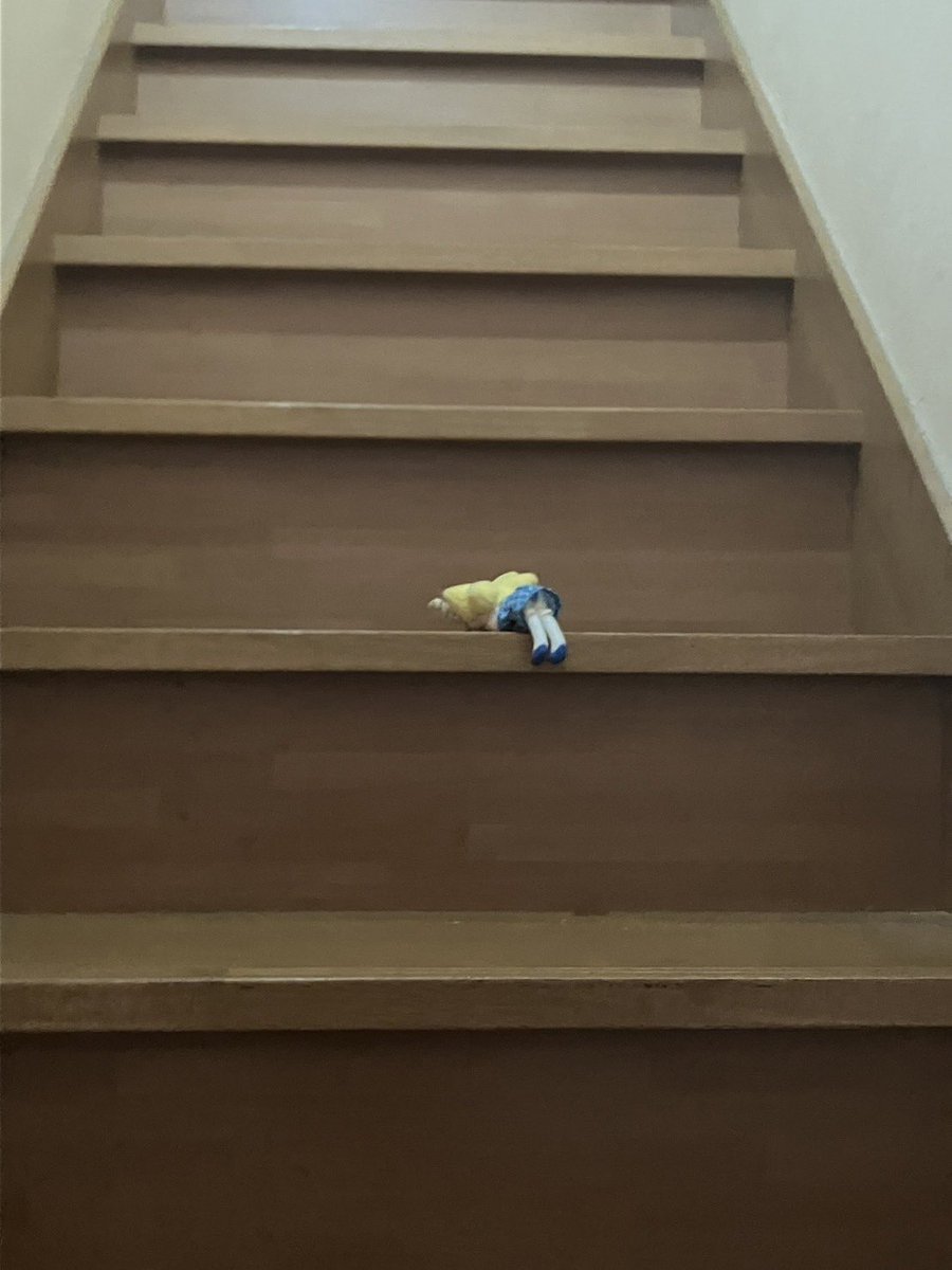okapichan_'s tweet photo. 猫がせっせと運んでくれる https://t.co/nLo4fjiG0r