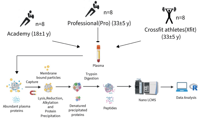 ReSyn_Bio's tweet image. 🚨Preprint Alert🚨: A new study from @LJMU using #Mag_Net™ enriched plasma identifies potential biomarkers to diagnose risk of neurodegenerative conditions in #RugbyPlayers! @Springboks #AskMeHow #TeamMassSpec biorxiv.org/content/10.110…