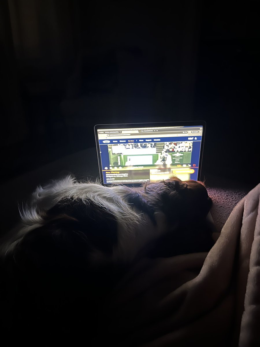 Peter Codington tweet media