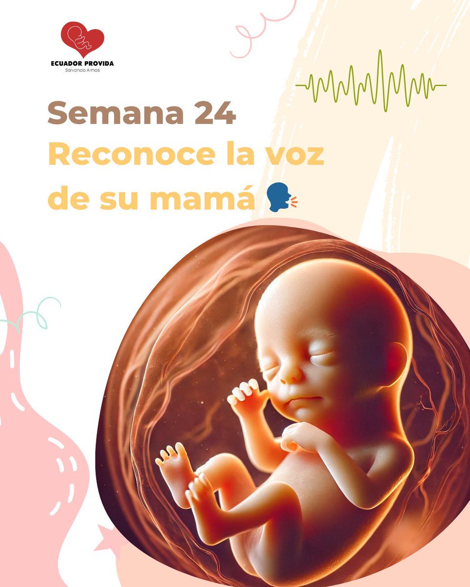 Ecuador Provida tweet media