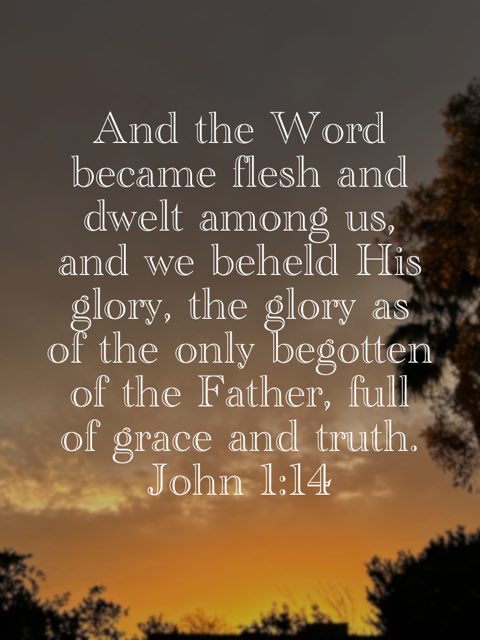 SvdByGrac3's tweet image. “And the Word became flesh and dwelt among us, and we beheld His glory, the glory as of the only begotten of the Father, full of grace and truth.”
John 1:14 NKJV
bible.com/bible/114/jhn.… #John1v14 John1.14 #JohnChapterOneVerseFourteen #JohnOneVerseFourteen #JohnOneFourteen