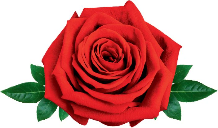 Our editors write:

- Rose volatiles: The sweet smell of ionones rdcu.be/ed1Fk

- Restoration ecology: To plant or not to plant rdcu.be/ed1Fu

- Striga resistance: Conceal the signals rdcu.be/ed1F7