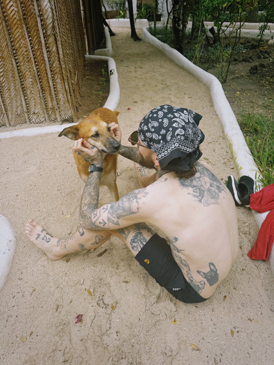 Brendan Walsh (@bwalsh__) on Twitter photo 