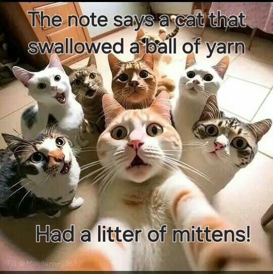 Cheeky Tuesday #chippytea? We're open 4-7.30pm today folks just pop in and order or ring 01924 280278 to book a collection or a free delivery to Ossett or Horbury #fishandchips #tuesdayvibe #tuesdaymotivation