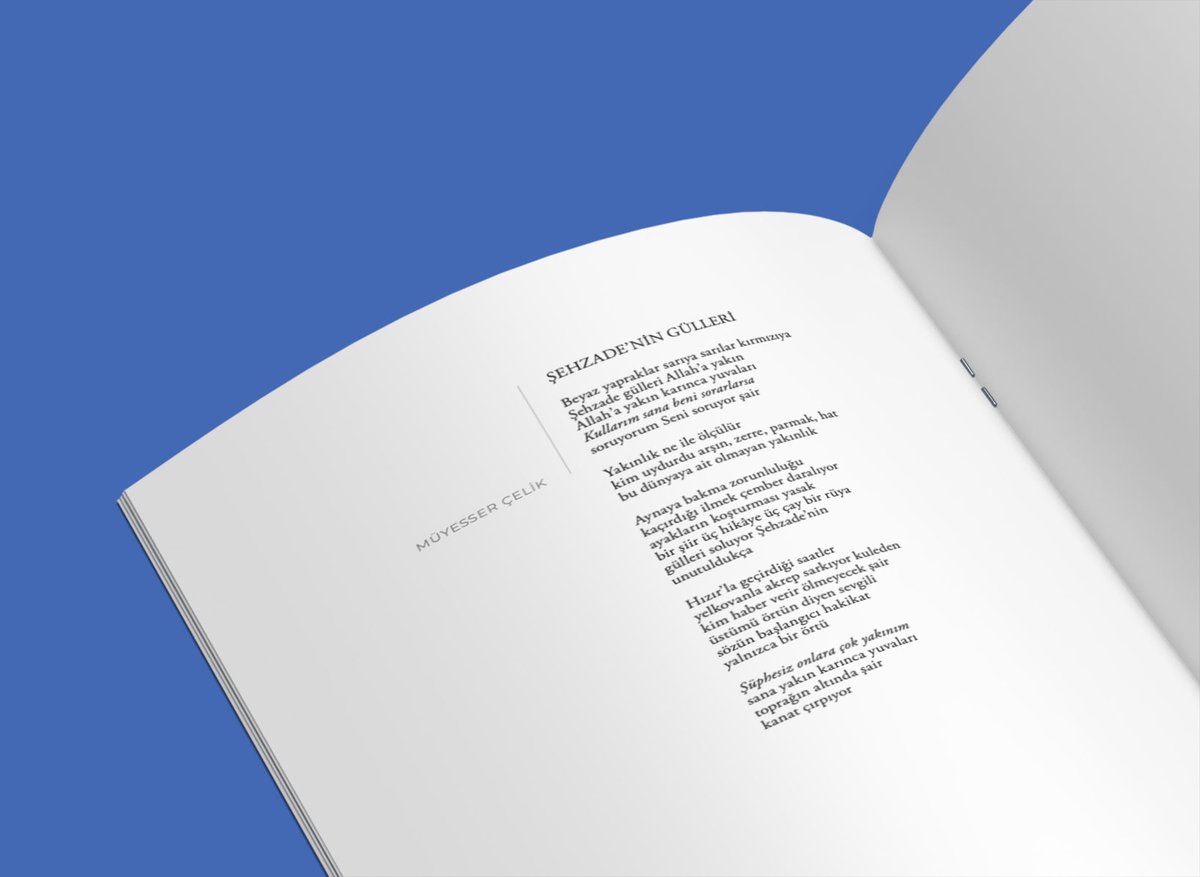 Beyaz yapraklar sarıya sarılar kırmızıya 
Şehzade gülleri Allah’a yakın / Müyesser Çelik