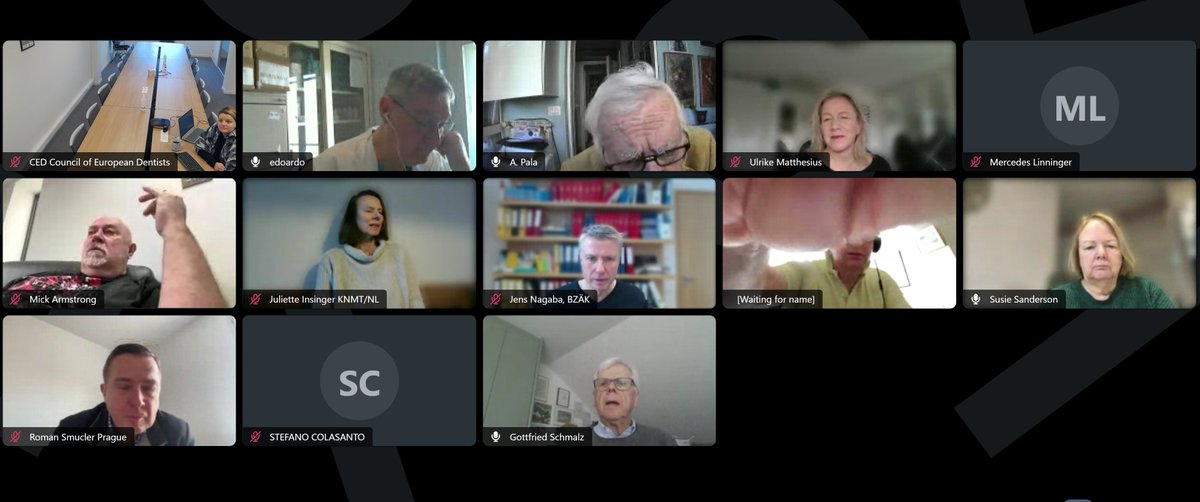 The <a href="/CEDentists/">CED</a> Working Group Dental Materials and Medical Devices held its second meeting for the year in an online format yesterday, 17 March. The members worked on priority topics for dentistry such as the Medical Devices Regulation.