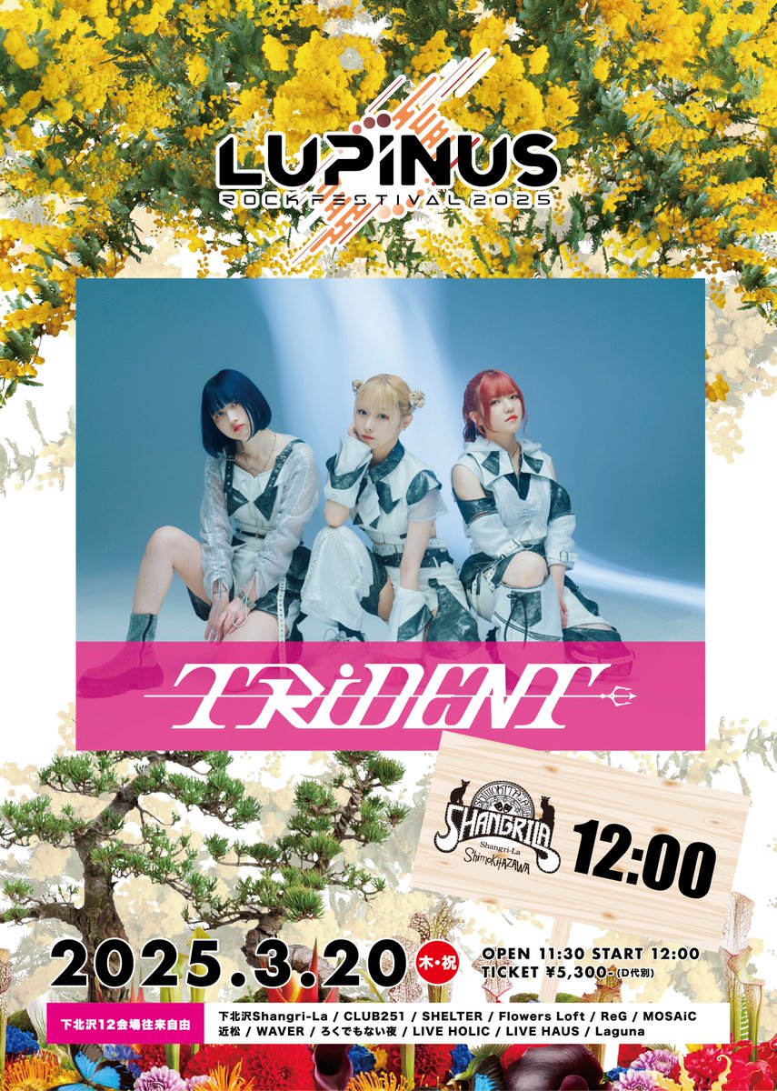 famime_rock's tweet photo. 🔥まもなく出演🔥

いよいよ…このあと【12:00】に
🌹TRiDENT が登場！

🏃Shangri-LaへGO！

アーティスト情報は⬇️にて💁
@TRiDENT_japan

3月20日(木祝)下北沢12会場
🌹LUPINUS ROCK FESTIVAL 2025🌹

#ルピナスロック https://t.co/fn2OeNnxmP