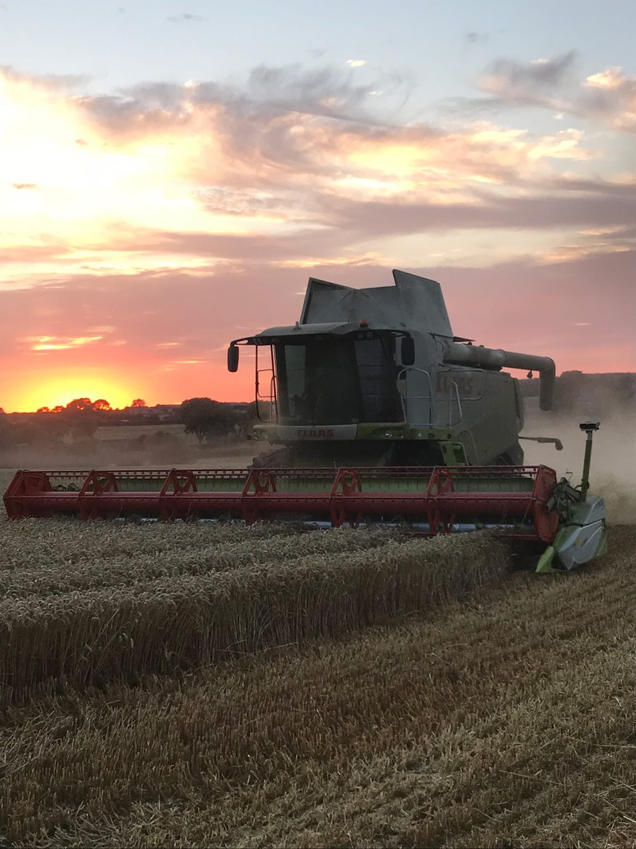 Joanna Knight (@joannas100) on Twitter photo ❗️JOB OPPORTUNITY❗️
An opportunity has arisen for a position on a family farm in South Lincolnshire. Role includes cultivations, grain & bale carting, baling and assisting with managing a beef suckler herd. If interested, please call 07968 111310 or email edward@jkfarms.co.uk ❗️JOB OPPORTUNITY❗️
An opportunity has arisen for a position on a family farm in South Lincolnshire. Role includes cultivations, grain & bale carting, baling and assisting with managing a beef suckler herd. If interested, please call 07968 111310 or email edward@jkfarms.co.uk