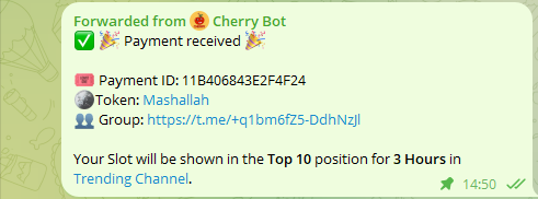 Mashallah CTO tweet media