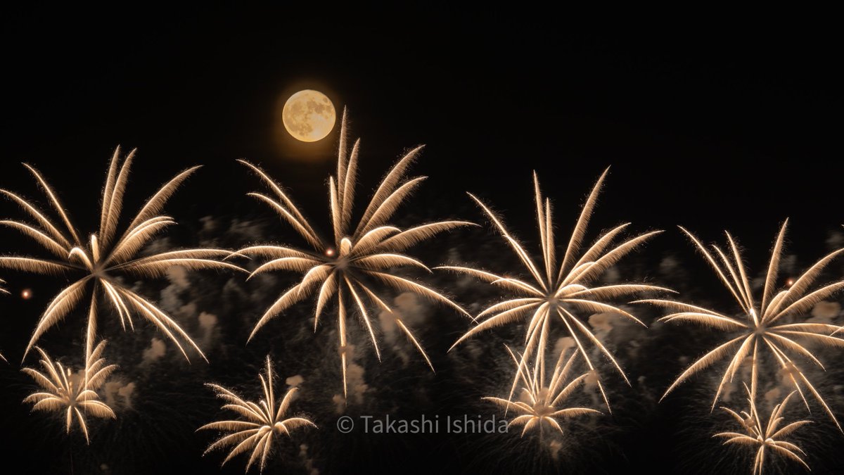 takashi5868's tweet image. #力作だと思う作品を見せて

月の出の時間と方角、花火の打ち上げ時間や打ち上がる高さを考慮し、筒場の位置から花火と月が離れすぎずに撮影できるポイントを割り出し、花火は流れても月がブレないシャッタースピードを探りながら撮影しました😌

#Nikon #NIKKOR #tokyocameraclub