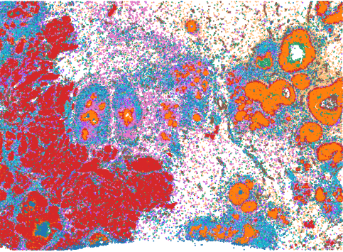 A first-of-its-kind AI-based neural network can rapidly analyse millions of cells from a patient sample, identifying how certain people may respond differently to treatment.

Read more about NicheCompass and how it can help develop personalised therapy ⤵️

sanger.ac.uk/news_item/new-…