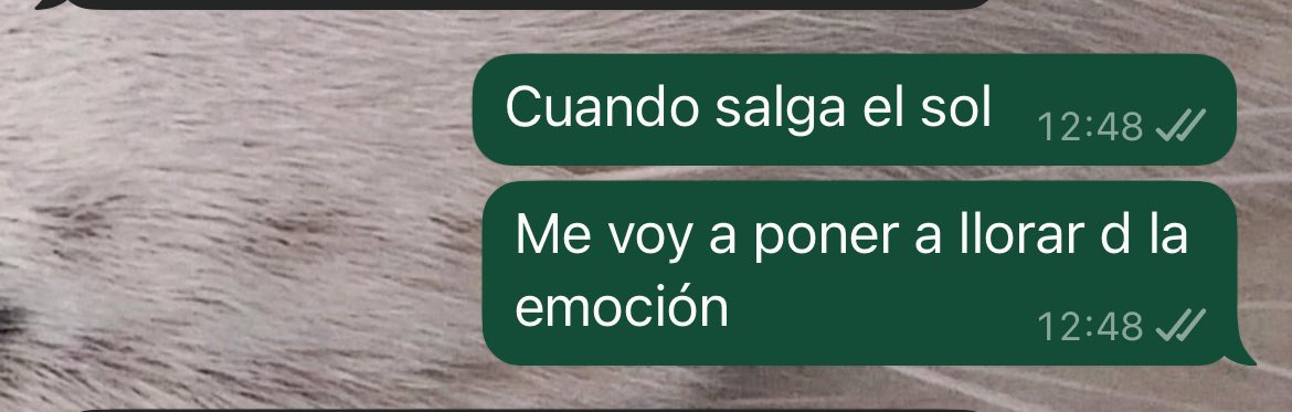 Solo soy una chica