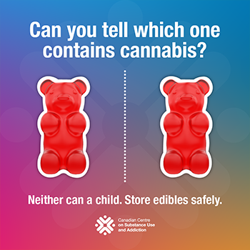 CCSACanada's tweet photo. Cannabis edibles often resemble common snacks (e.g., brownies, gummy candies). A young child may be unable to tell the difference. Learn more at https://t.co/Xnej3ZT8VX
#CheckForPoisons
#NPPW2025 https://t.co/z1cusoRTeb