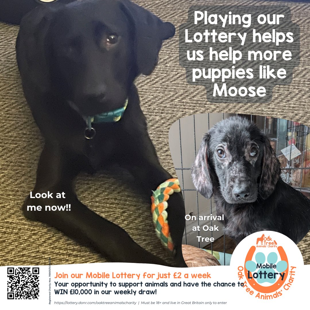 Oak Tree Animals' Charity tweet media