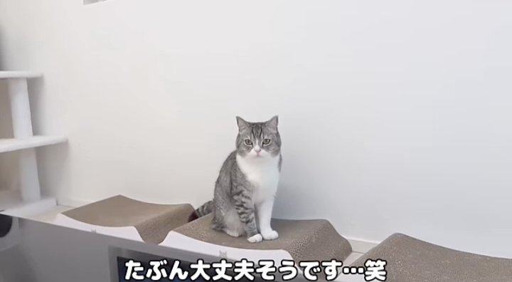 はなざくろ (@hana_zakulo) / X