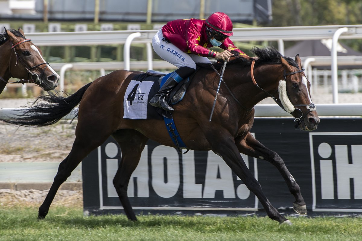 📢✨ Este domingo 23 de marzo en el <a href="/HipodromoMadrid/">Hipódromo de La Zarzuela</a>, tras la 4ª carrera, en el recinto de ganadores, se realizará un acto especial de homenaje en reconocimiento a la trayectoria de dos grandes jockeys: José Luis Borrego y Nieves García 🏇💫

Un homenaje impulsado por la