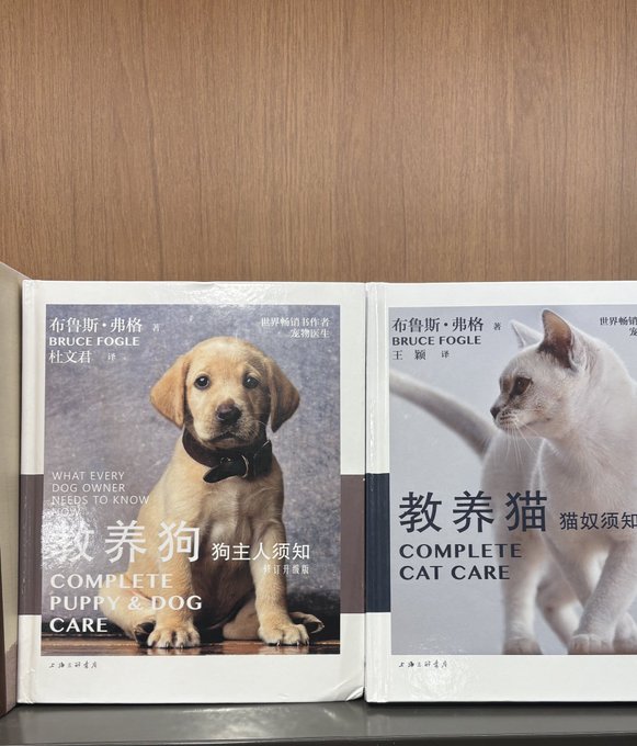 Watch Rules's leaked NSFW photo on TwXstars