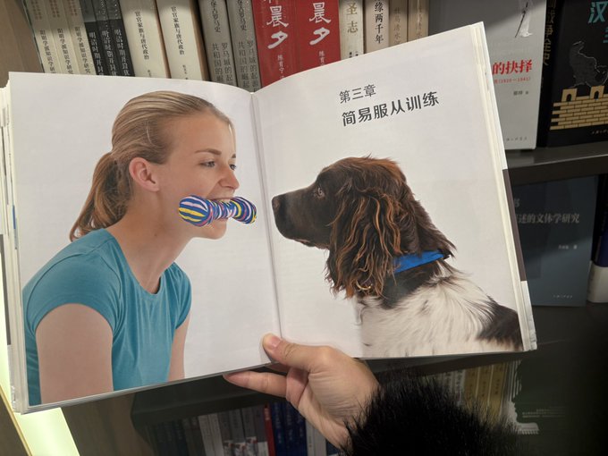 Watch Rules's leaked NSFW photo on TwXstars