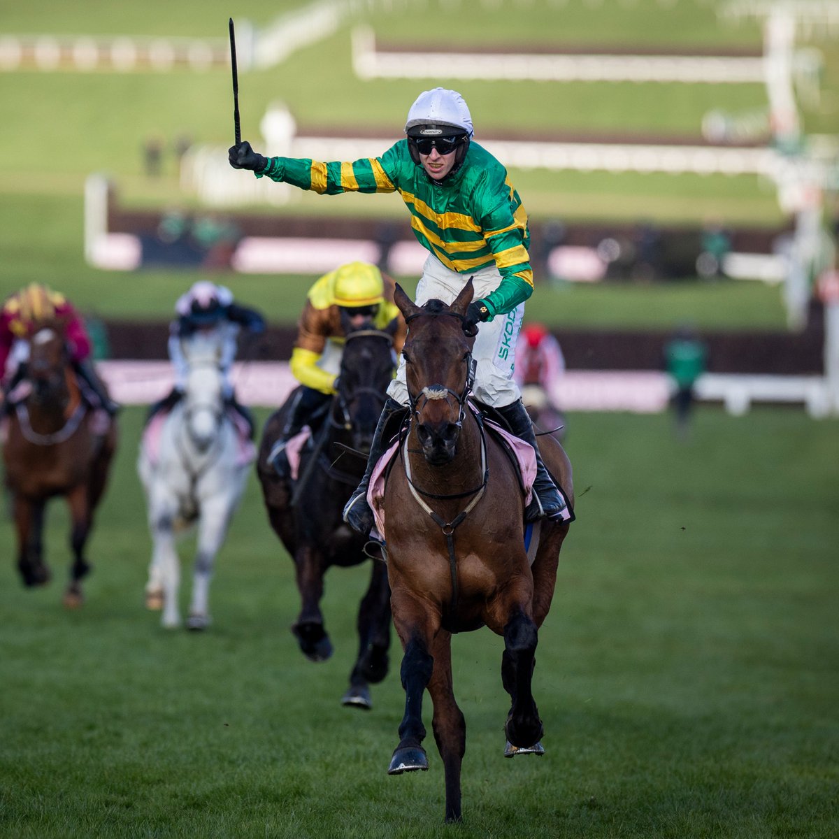 RacingPost's tweet photo. 💚💛 Gavin Cromwell:

"We've decided to take Inothewayurthinkin out of the Grand National. He's only seven and we've worked so hard on his jumping this season that we feel it just might be a backward step to run him at Aintree. We're absolutely delighted to win a Gold Cup and it might be asking a bit much of him to try to win a Grand National as well at the age of seven. 

"He came out of the Gold Cup in great shape and he has the option of running in the Punchestown Gold Cup at the end of April. We'll see how he is over the next few weeks before making a decision on that, but he won't be running in the Grand National anyway. We feel it's the best thing to do by the horse. As I said, we're delighted to win a Gold Cup. It's a day we'll never forget."