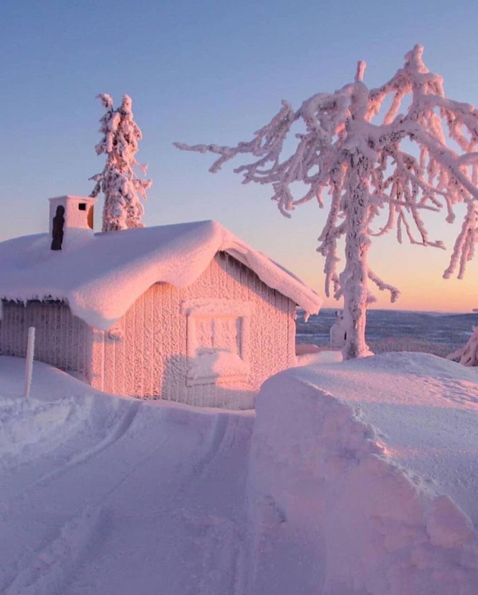 KBrobots's tweet image. GM