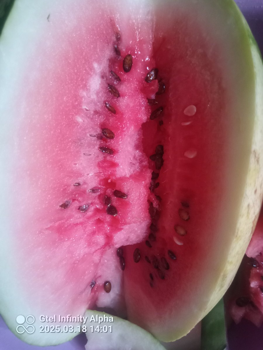 KupetaNoah1's tweet image. Kana ndapedza kutema tema zvima kwenzi zvangu, ndo chikafu changu muruzevha ichi. Ndotoswera tozviona manheru. Gore rino aiwa maguta 😂😂😂😂 @Jamwanda2 @AlexanderRusero @lmakombe