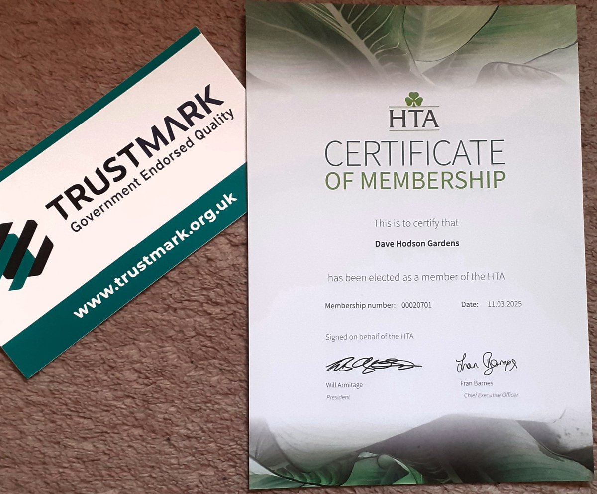 Dave Hodson Gardens tweet media