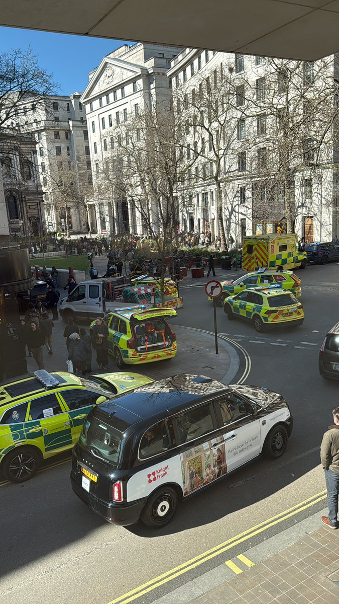 Maeve Madden tweet media