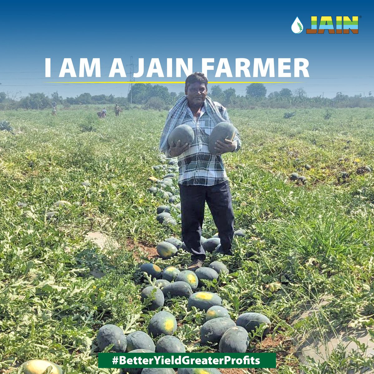 JainIrrigation's tweet photo. Summer vibes with Transforming crops, transforming lives! 🌱🍉 🥤 

Thanks to #JainTechnology, this farmer’s watermelon harvest is a testament to the power of precision farming!

#BetterYieldGreaterProfits all the way with #JainIrrigation 💯 

#AgTech #IAmAJainFarmer #AgriTech #Innovation #WatermelonFarming #JISL