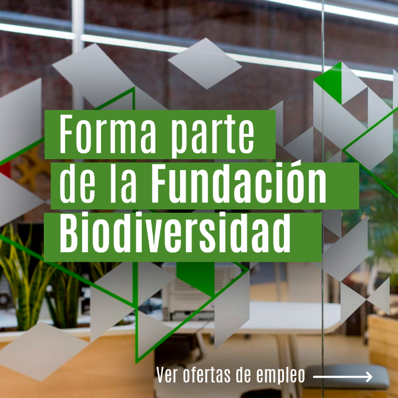 FBiodiversidad's tweet photo. Forma parte de la Fundación Biodiversidad:

🔹Analista Programador Senior del Área de Tecnología y Sistemas de Información

🗓️Ampliado hasta el 6 de abril

🔹Técnico/a del Área de Investigación y Cambio Climático
🔹Técnico/a jurídico/a del área de Secretaría General

🗓️9 de abril