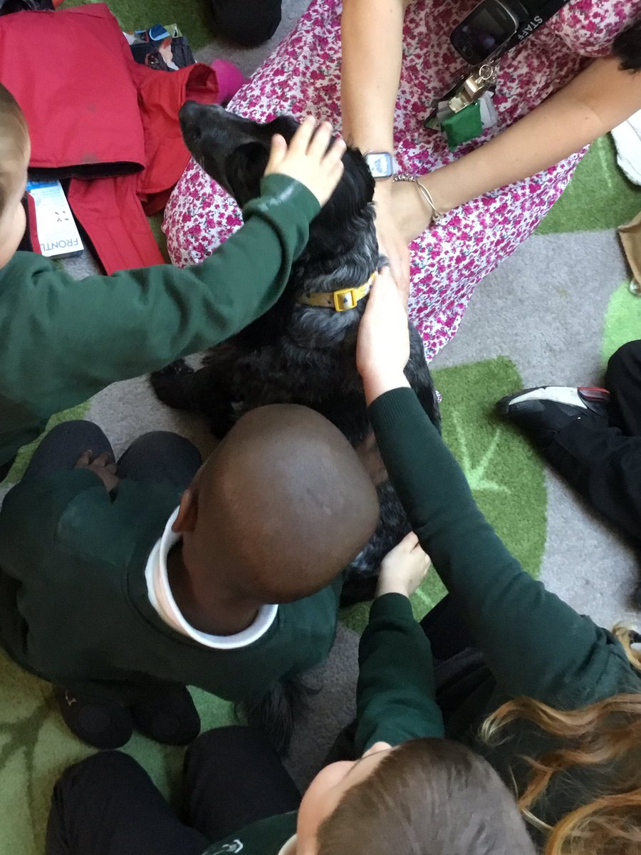 BentleyWestWS2's tweet image. Today Reception had a special visitor as part of our Amazing Animal topic! Biffy came to see us, and we learnt all about taking care of her. #BWReception #eyfs #amazinganimals