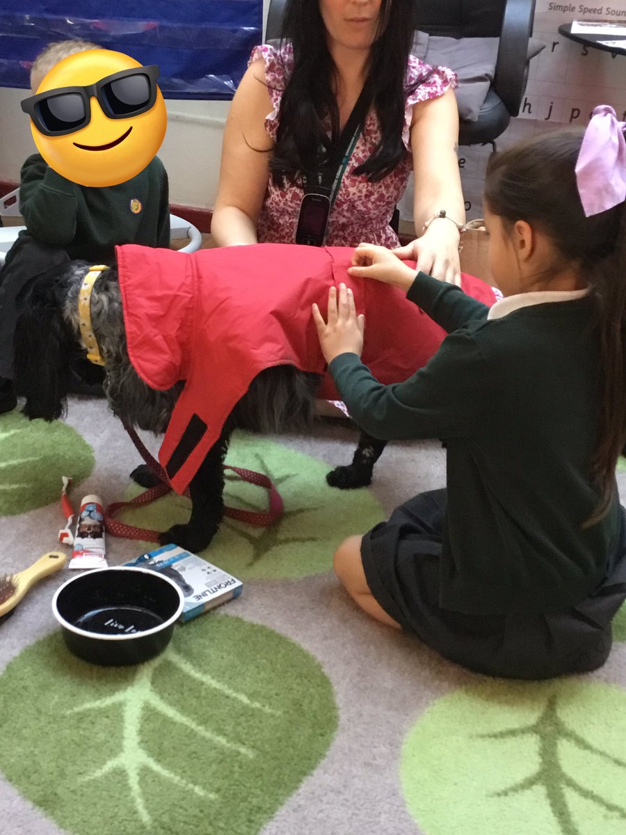 BentleyWestWS2's tweet image. Today Reception had a special visitor as part of our Amazing Animal topic! Biffy came to see us, and we learnt all about taking care of her. #BWReception #eyfs #amazinganimals