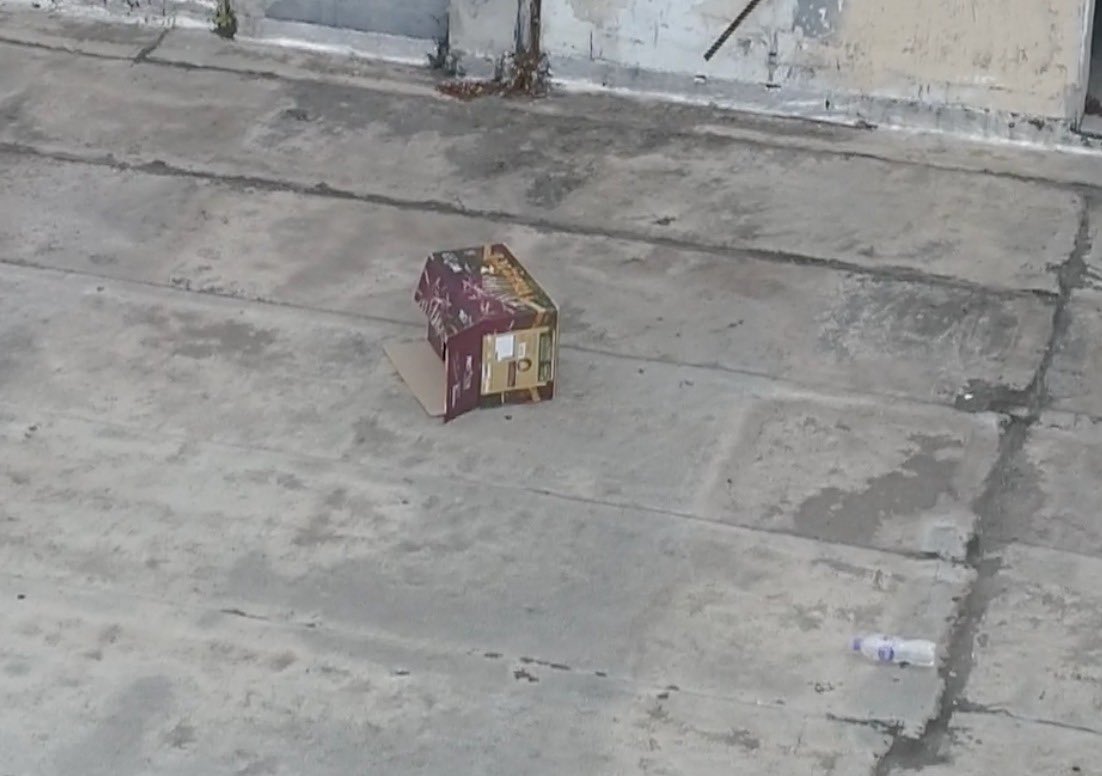 Rato Borrachudo tweet media