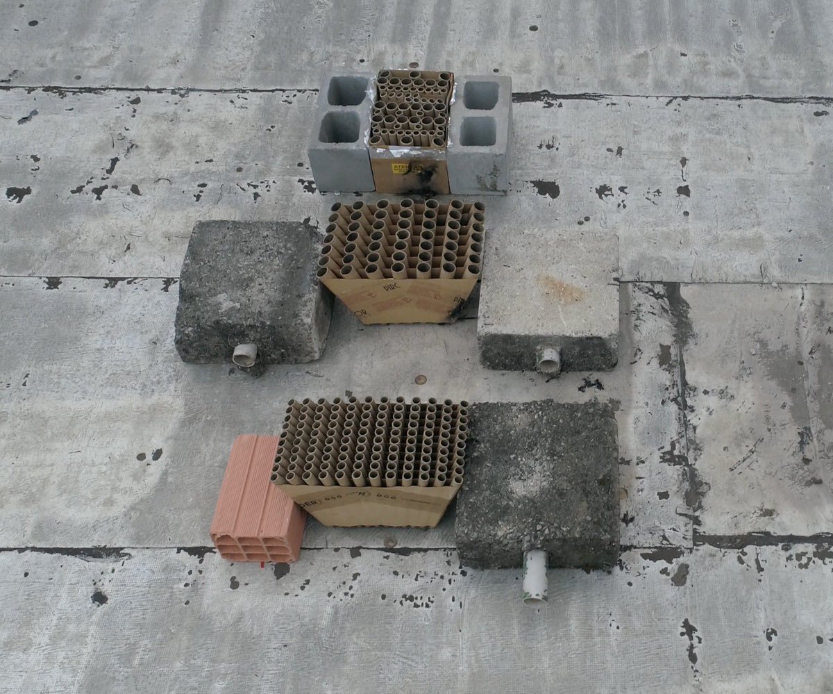 Rato Borrachudo tweet media